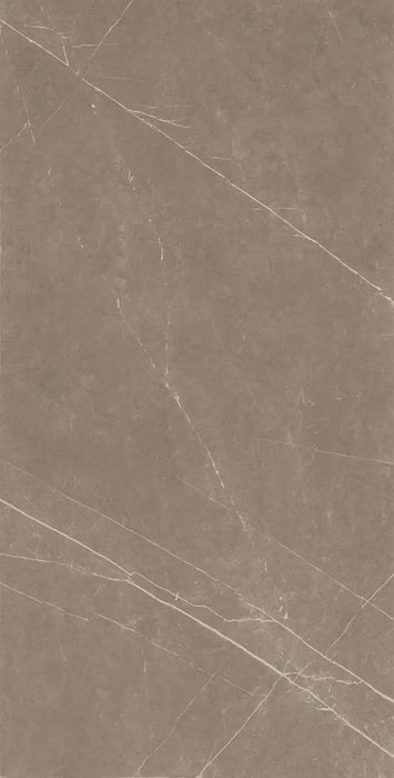 Graphite Porcelain Brown Tile Matte 1
