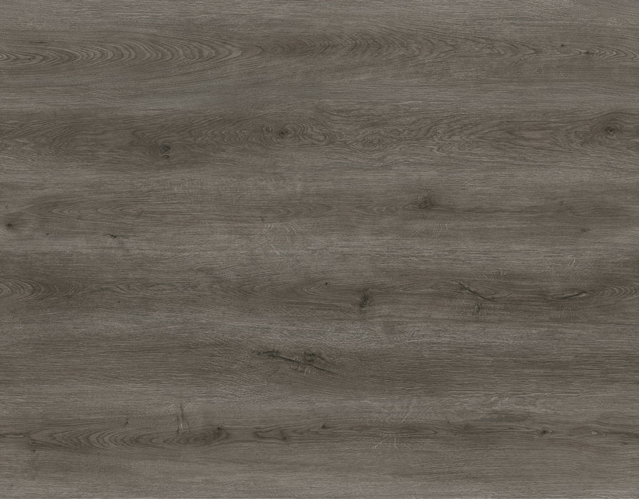 Radius Vinyl Gray Park C06 Vinyl Plank Embossed 2