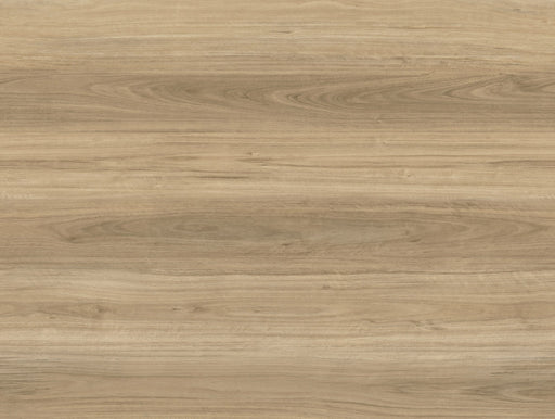 Radius Vinyl Arbor Ash Blonde C06 Vinyl Plank Embossed 1