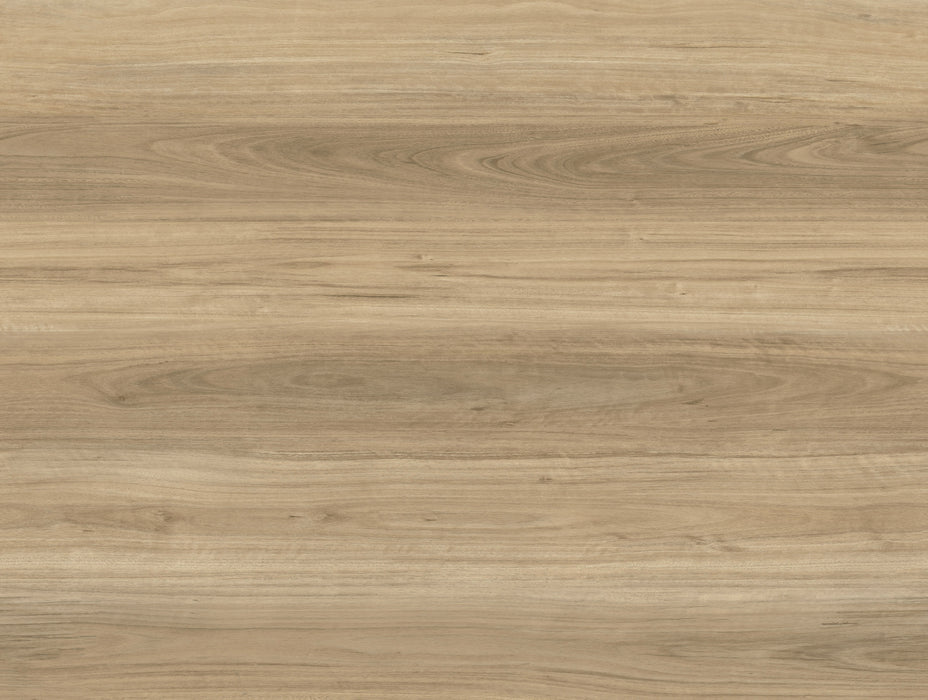 Radius Vinyl Arbor Ash Blonde C06 Vinyl Plank Embossed 2