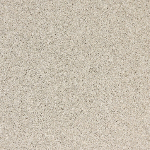 Radiant Beauty Polypropylene Soft Glow Carpet Textured 1