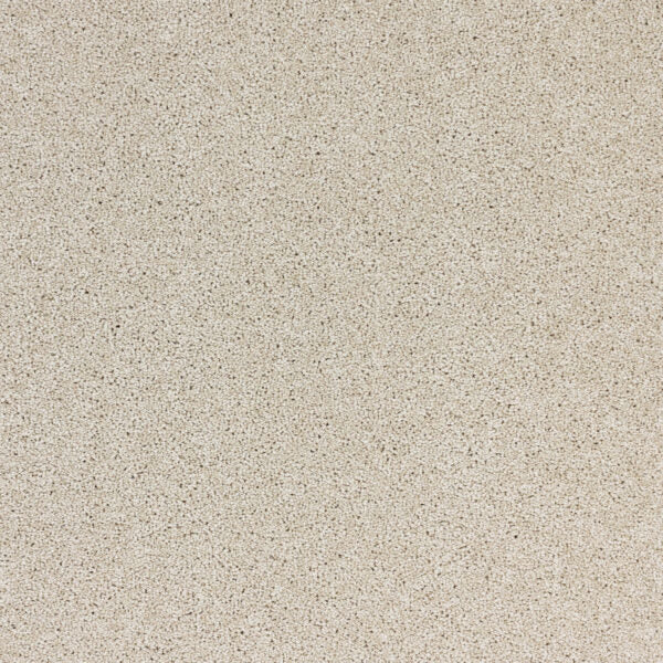 Radiant Beauty Polypropylene Soft Glow Carpet Textured 1