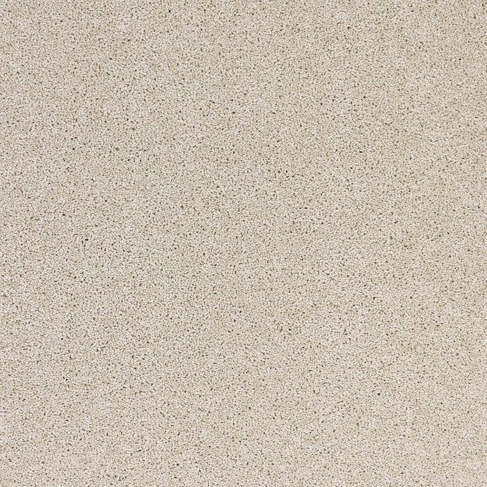 Radiant Beauty Polypropylene Soft Glow Carpet Textured 2