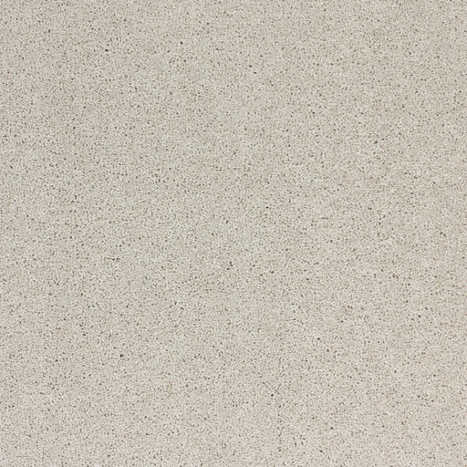 Radiant Beauty Polypropylene Moonbeam Carpet Textured 1