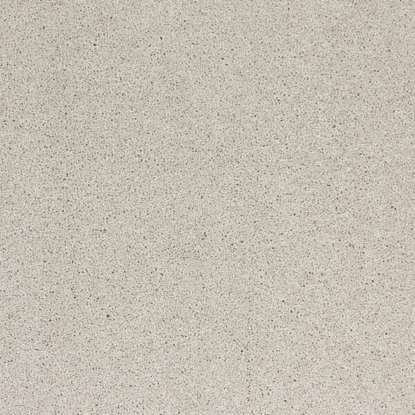 Radiant Beauty Polypropylene Moonbeam Carpet Textured 1