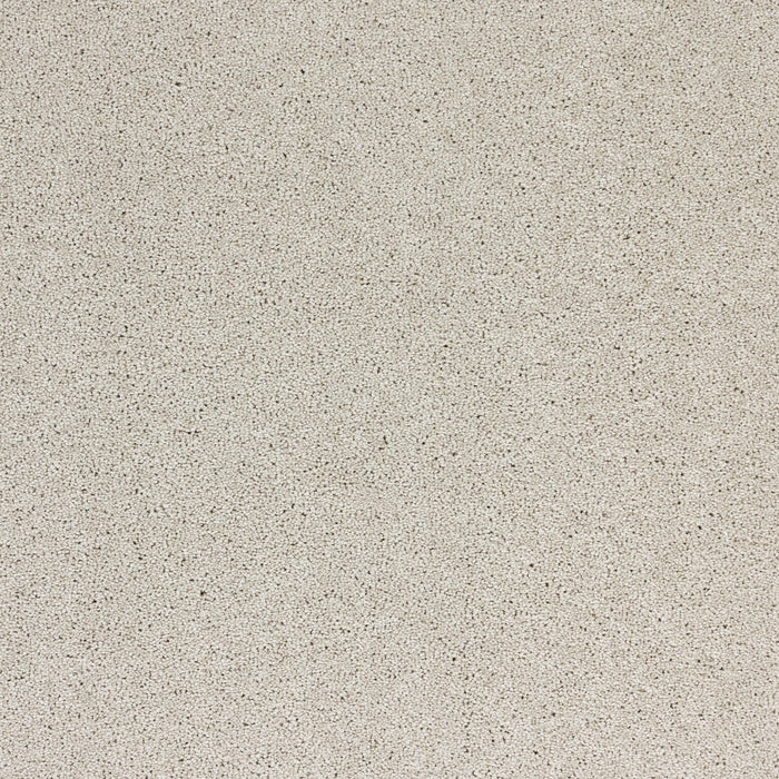 Radiant Beauty Polypropylene Moonbeam Carpet Textured 2