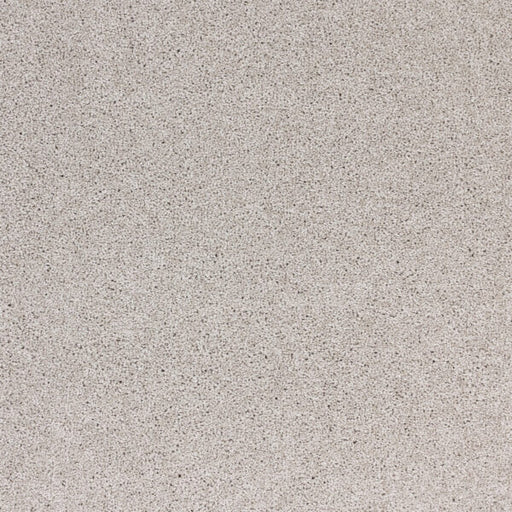 Radiant Beauty Polypropylene Celestial Carpet Textured 1