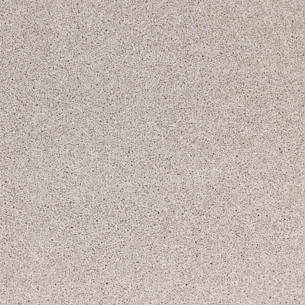 Radiant Beauty Polypropylene Celestial Carpet Textured 1