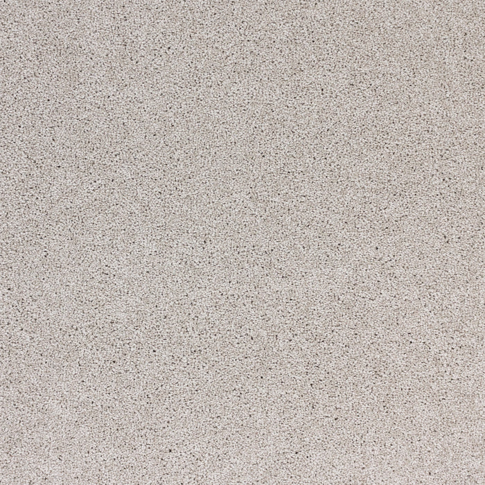 Radiant Beauty Polypropylene Celestial Carpet Textured 2