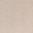 Radiant Beauty Polypropylene Luminary Carpet Textured 1