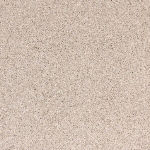 Radiant Beauty Polypropylene Luminary Carpet Textured 1