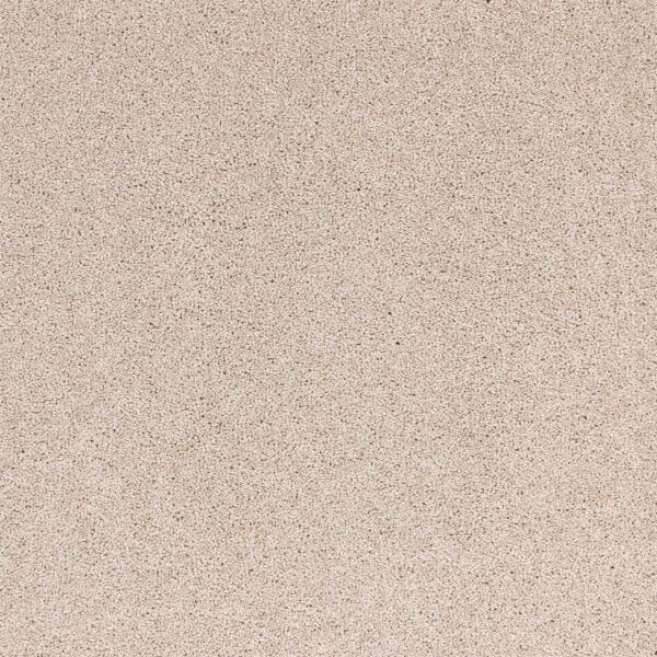 Radiant Beauty Polypropylene Luminary Carpet Textured 1