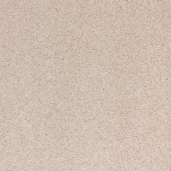 Radiant Beauty Polypropylene Luminary Carpet Textured 2