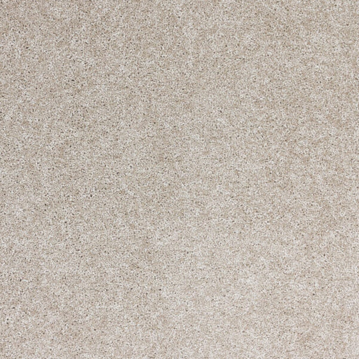Radiant Beauty Polypropylene Lustrous Carpet Textured 1