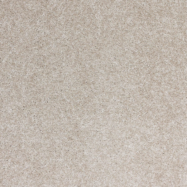 Radiant Beauty Polypropylene Lustrous Carpet Textured 1