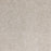Radiant Beauty Polypropylene Lustrous Carpet Textured 2