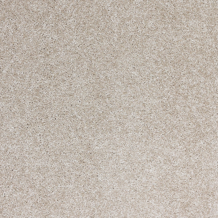Radiant Beauty Polypropylene Lustrous Carpet Textured 2
