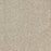 Radiant Beauty Polypropylene Sunlit Carpet Textured 1