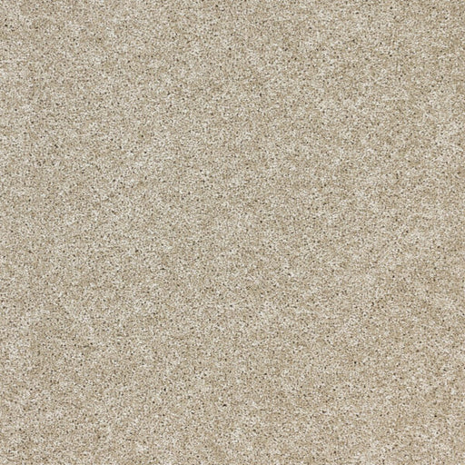 Radiant Beauty Polypropylene Sunlit Carpet Textured 1