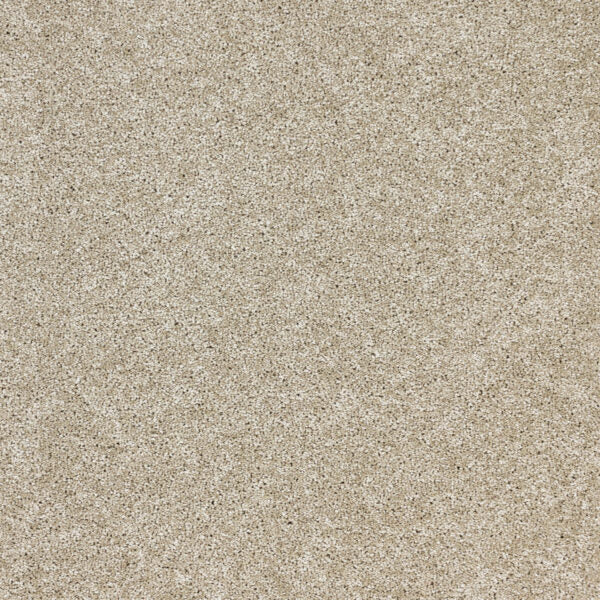 Radiant Beauty Polypropylene Sunlit Carpet Textured 1
