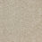 Radiant Beauty Polypropylene Sunlit Carpet Textured 2