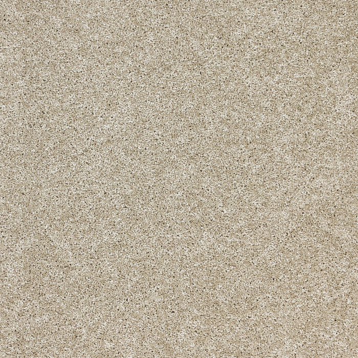 Radiant Beauty Polypropylene Sunlit Carpet Textured 2