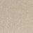 Radiant Beauty Polypropylene Essence Carpet Textured 1