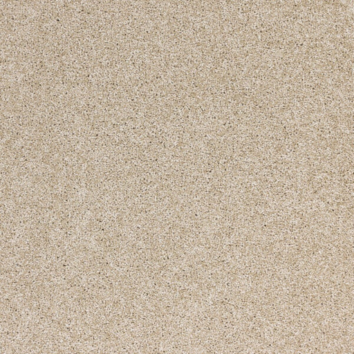 Radiant Beauty Polypropylene Essence Carpet Textured 1