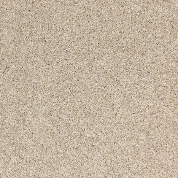 Radiant Beauty Polypropylene Essence Carpet Textured 1