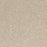 Radiant Beauty Polypropylene Essence Carpet Textured 2