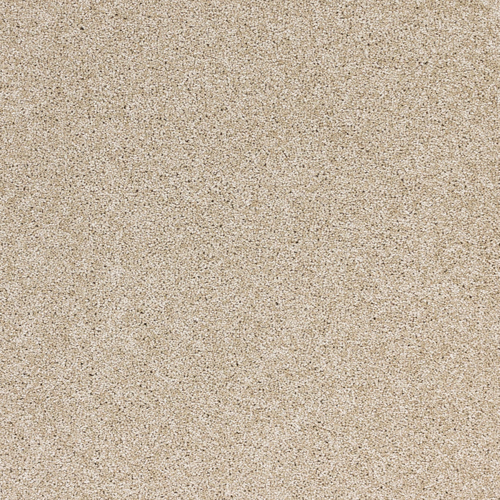 Radiant Beauty Polypropylene Essence Carpet Textured 2