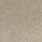 Radiant Beauty Polypropylene Taupe Tones Carpet Textured 1