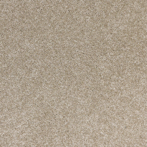 Radiant Beauty Polypropylene Taupe Tones Carpet Textured 1