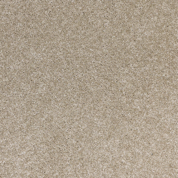 Radiant Beauty Polypropylene Taupe Tones Carpet Textured 1