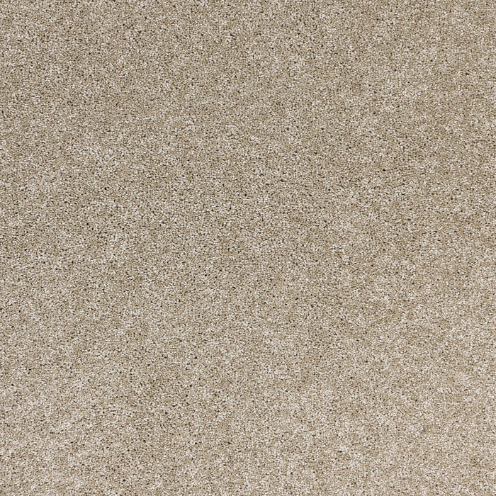 Radiant Beauty Polypropylene Taupe Tones Carpet Textured 2