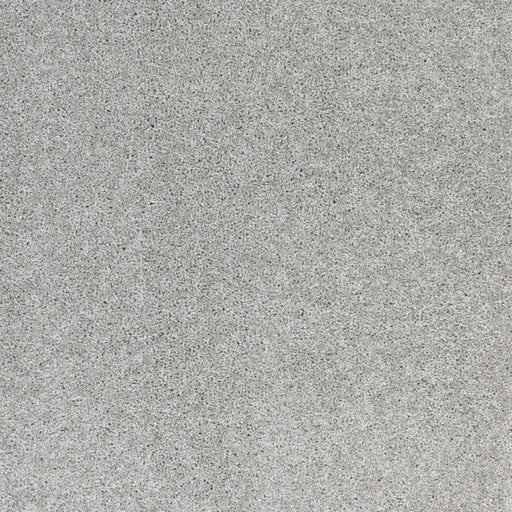 Radiant Beauty Polypropylene Gray Dawn Carpet Textured 1
