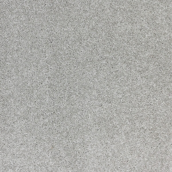 Radiant Beauty Polypropylene Gray Dawn Carpet Textured 1