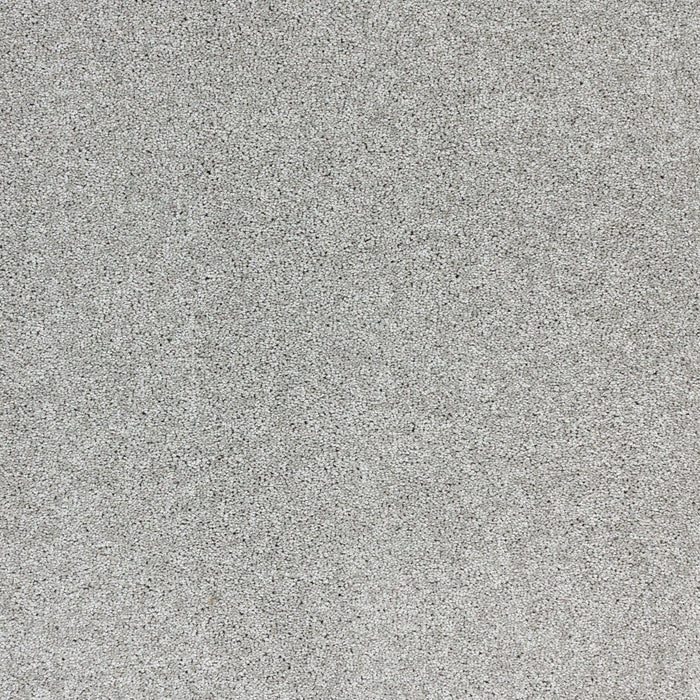 Radiant Beauty Polypropylene Gray Dawn Carpet Textured 2