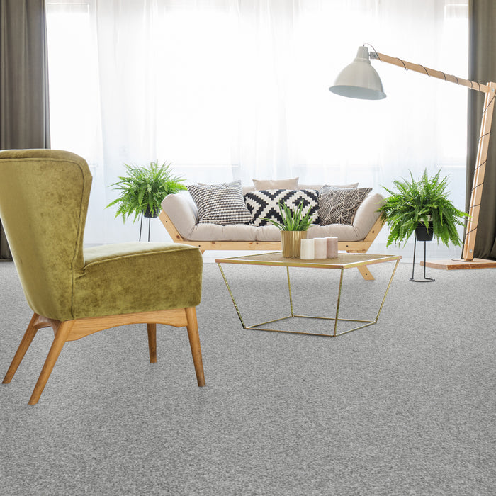 Radiant Beauty Polypropylene Galactic Carpet Textured 2