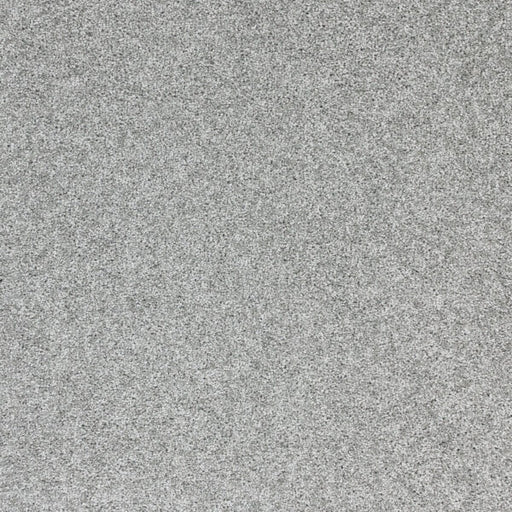 Radiant Beauty Polypropylene Galactic Carpet Textured 1