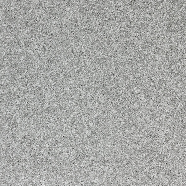 Radiant Beauty Polypropylene Galactic Carpet Textured 1