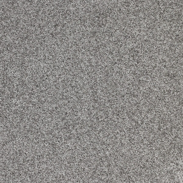 Radiant Beauty Polypropylene Night Sky Carpet Textured 1