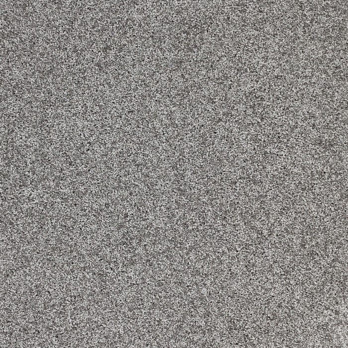 Radiant Beauty Polypropylene Night Sky Carpet Textured 2