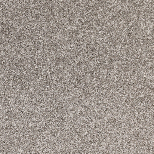 Radiant Beauty Polypropylene Natures Charm Carpet Textured 1