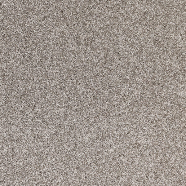 Radiant Beauty Polypropylene Natures Charm Carpet Textured 1