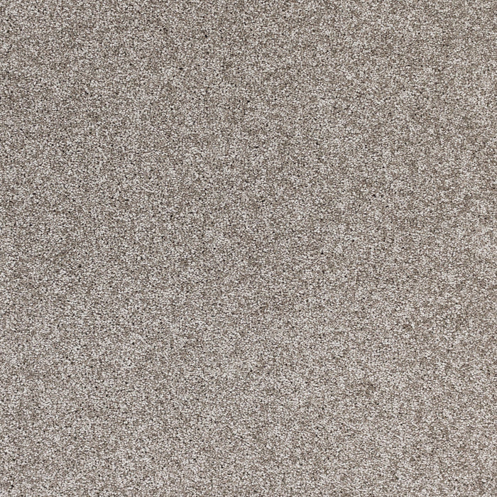 Radiant Beauty Polypropylene Natures Charm Carpet Textured 2