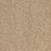 Radiant Beauty Polypropylene Ambience Carpet Textured 1
