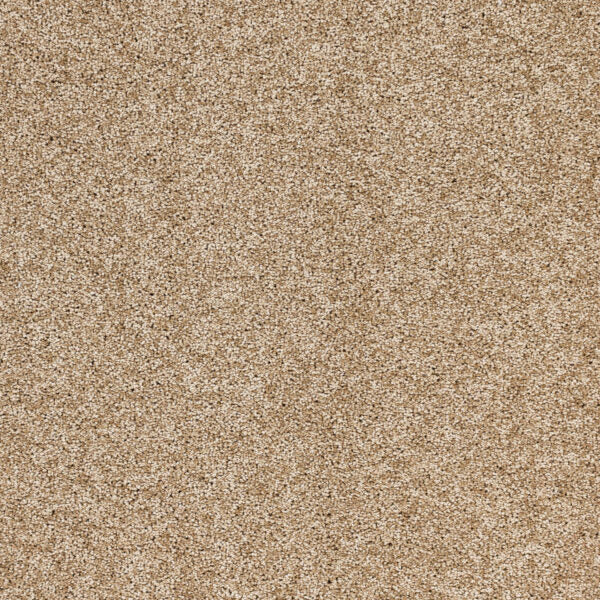 Radiant Beauty Polypropylene Ambience Carpet Textured 1