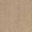 Radiant Beauty Polypropylene Ambience Carpet Textured 2