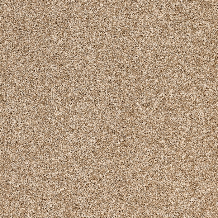 Radiant Beauty Polypropylene Ambience Carpet Textured 2